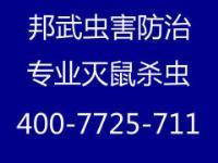 上海专业灭鼠灭蟑螂灭白蚁灭除跳蚤等害虫-上海徐汇区防虫服务